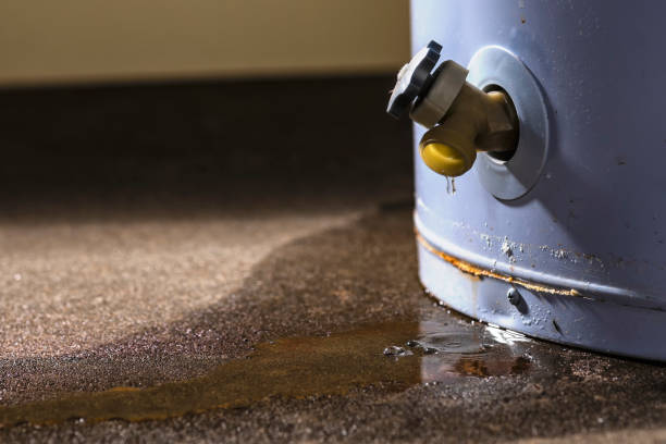 Best Flood damage cleanup  in Louisville, MS