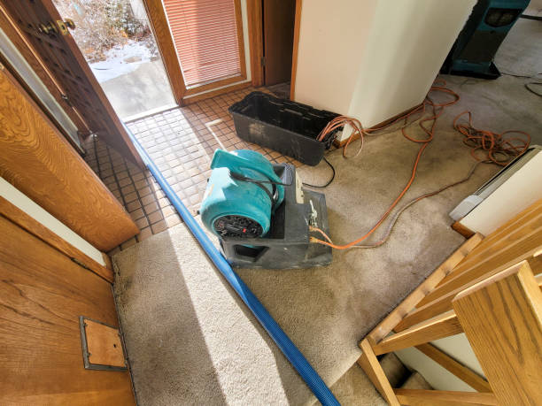 Best Emergency water extraction  in Louisville, MS