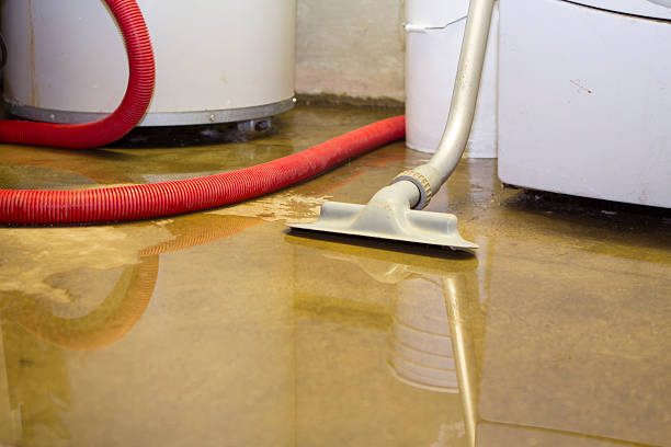 Best Water damage restoration insurance claims  in Louisville, MS