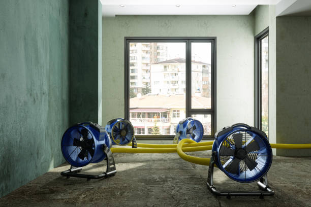 Best Sewage cleanup and water damage restoration  in Louisville, MS