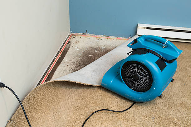 Best Water damage contractors near me  in Louisville, MS